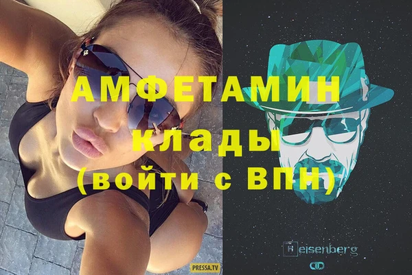 стаф Вяземский