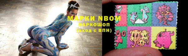 стаф Вяземский