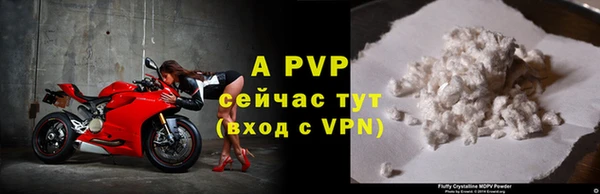стаф Вязники