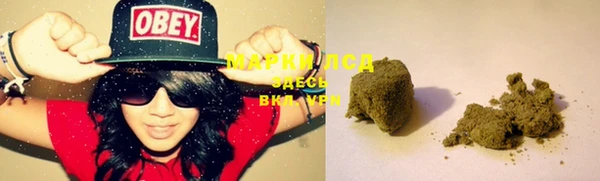 стаф Вяземский