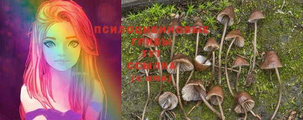 синтетический гашиш Вязьма
