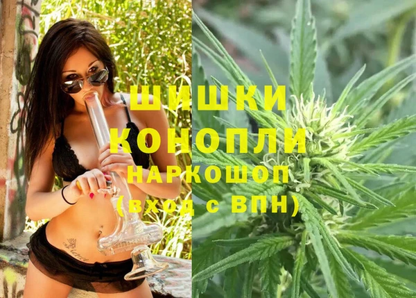 стаф Вязники