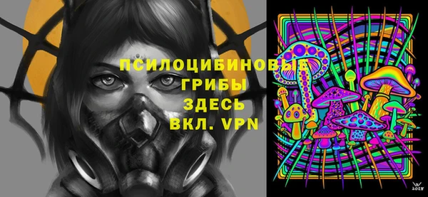 стаф Вязники