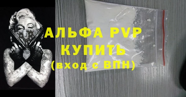 стаф Вяземский