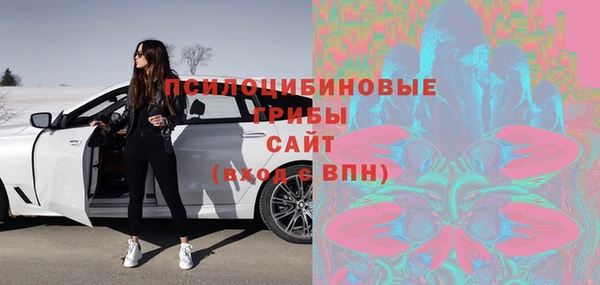 стаф Вязники