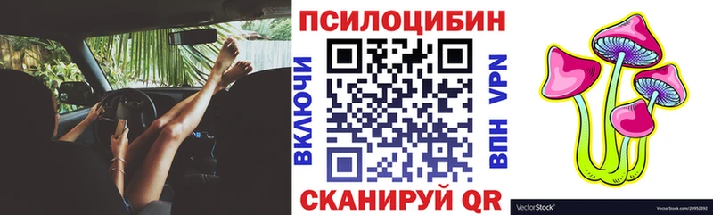 Галлюциногенные грибы Psilocybe  наркошоп  Приволжский 